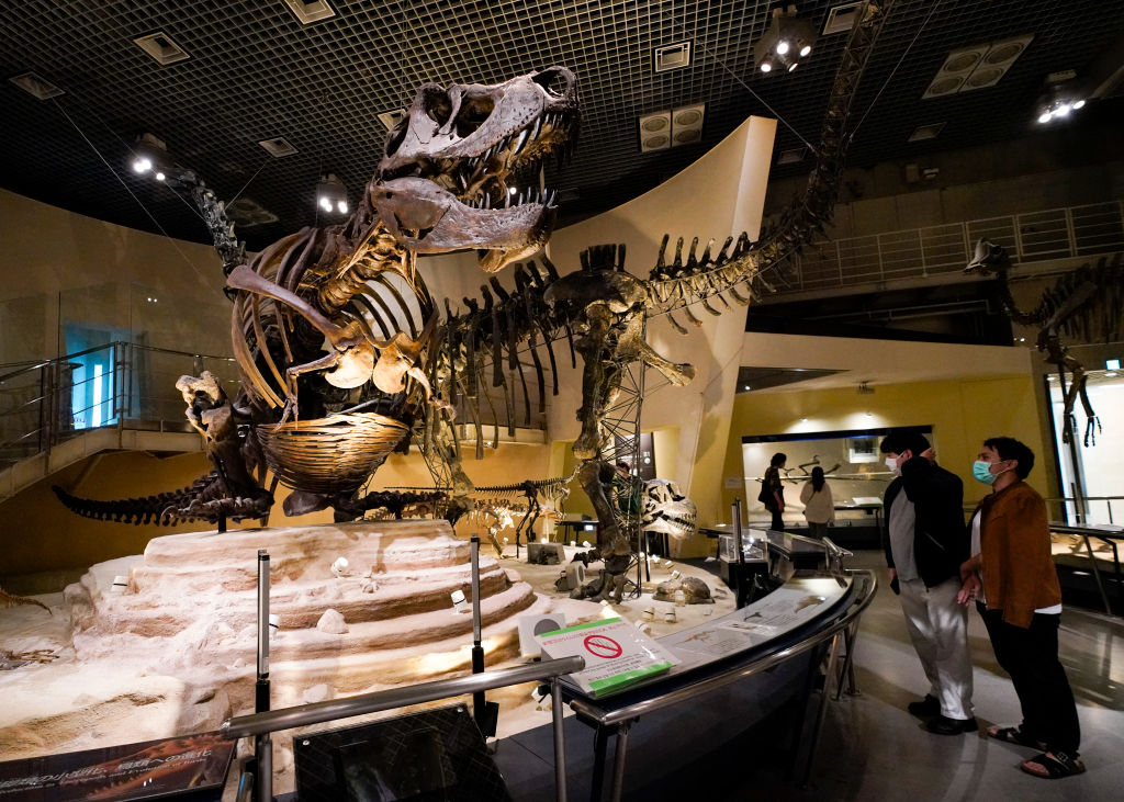 Dinosaur Exhibit...
