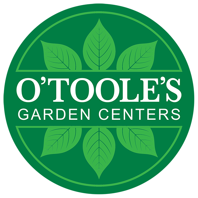 O'toole's contest