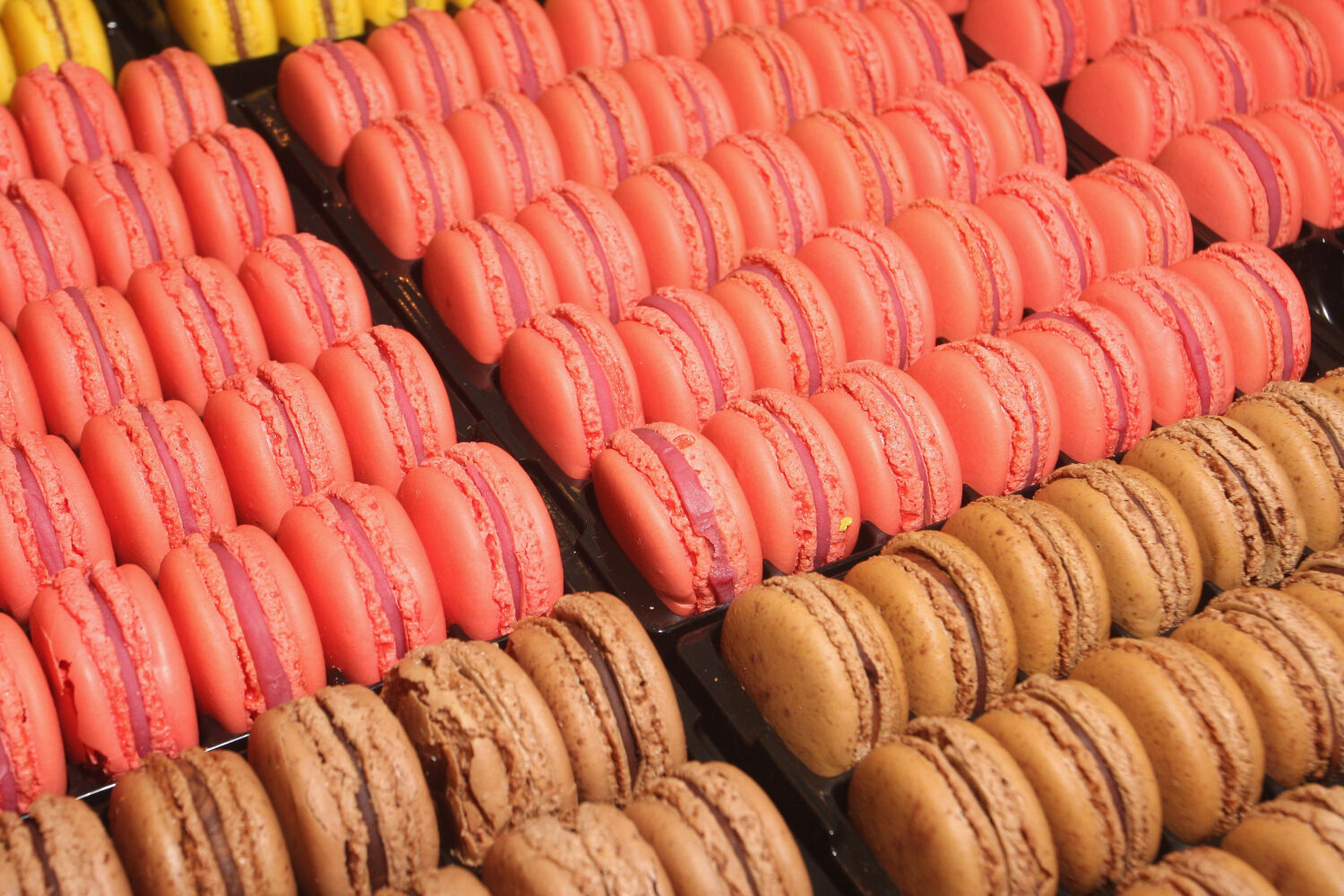 Macaron...